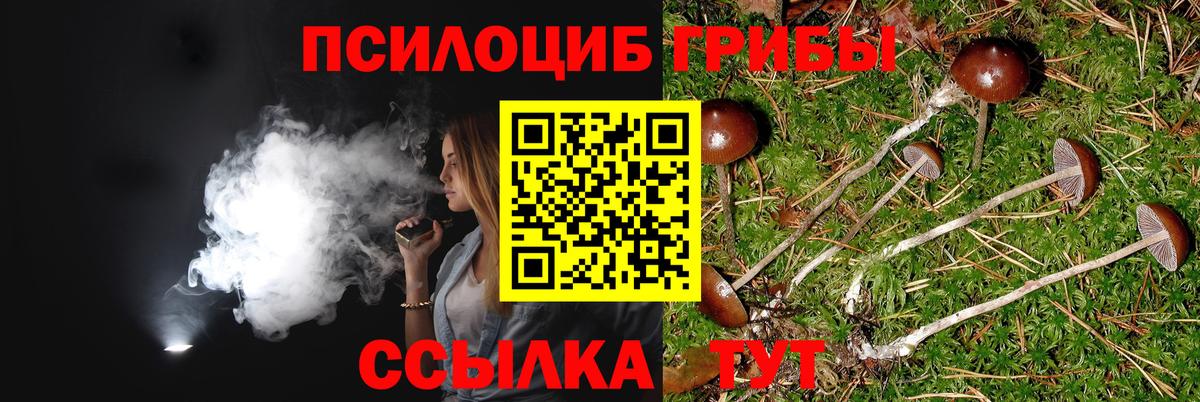 Галлюциногенные грибы GOLDEN TEACHER  Галлюциногенные грибы мицелий  Вязники  наркотики  Вход с VPN 